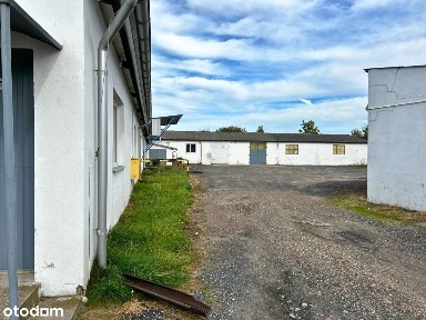 Dwie hale/magazyny +biuro oraz duża działka