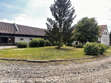 Gotowa stadnina pod turystykę, rajdy, rekreacja.