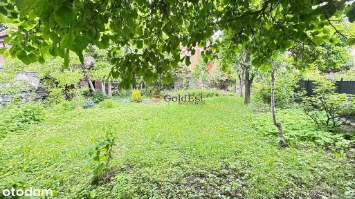 Mały dom z atrakcyjną działką obok Parku