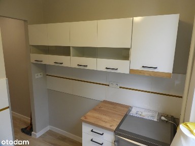 ul. Brzozowa, Koszutka, Katowice, śląskie