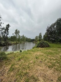 wynajmę domek ze stawem rybnym duza dzialka Kanie /Pruszków stadnina
