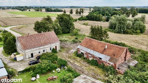 100-letni bliźniak pod Prabutami, blisko jeziora
