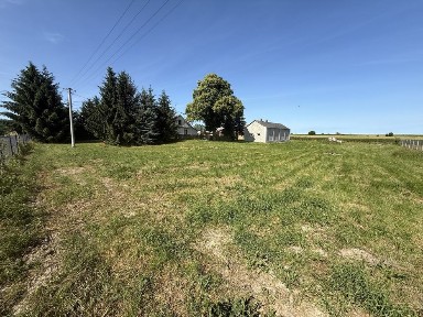 Dom, siedlisko z placem blisko S17 inwestycja