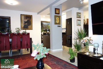 Bliźniak dzielnica Szerokie