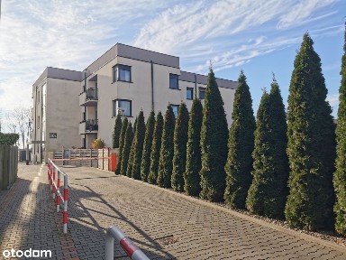 Mieszkanie do wynajęcia, 1 piętro, nowy budynek