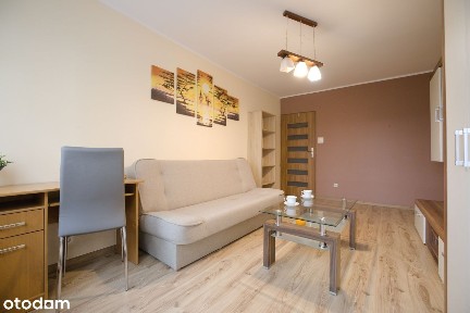 Poznań Mieszkanie 2 pokoje Winogrady