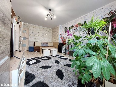 Duże M-2 do wprowadzenia Częstochowa,Błeszno, Raków