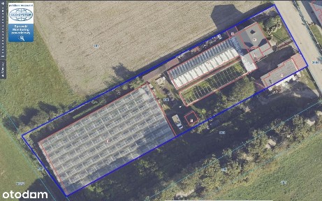 Dom działka szklarnia Święciechowa Leszno LICYTACJA