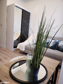 WOLNE BEZPOŚREDNIO kawalerka 1350+niskie opłaty Pszczyna Korfantego