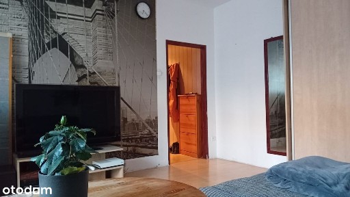 al. Wojciecha Korfantego, Śródmieście, Gliwice, śląskie