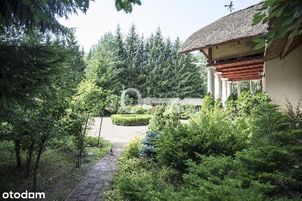 4 sypialnie | Urokliwa, duża działka | Przy lesie