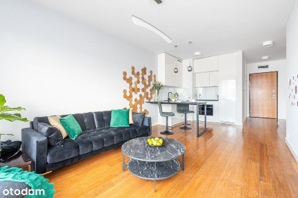 ul. Krzysztofa Kieślowskiego, Błonia Wilanowskie, Wilanów, Warszawa, mazowieckie