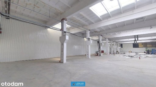 Zarzew, Widzew, Łódź, łódzkie