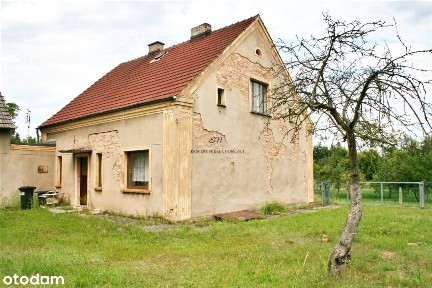 Dom, 162 m², Ortowice