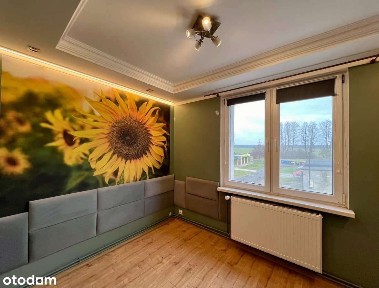 Mieszkanie Kosierz Zielona Góra Na Sprzedaż