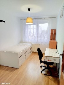 3 pokoje/Od zaraz/Do wprowadzenia/2008