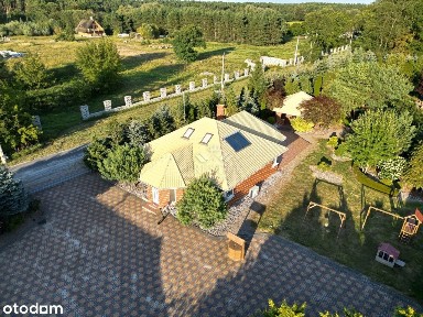 Dwa domy, siedlisko ze stawem i halą, wśród lasu