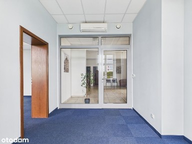 Sośnica, Gliwice, śląskie