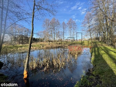 Urokliwe siedlisko w Korabiewicach