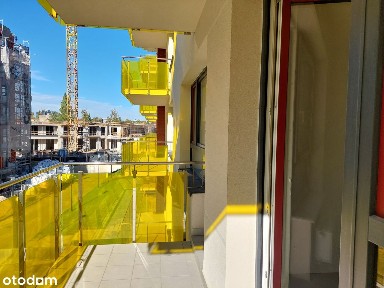 Koziny, Polesie, Łódź, łódzkie