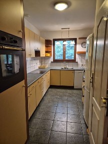 Dom przy lesie na dużej działce. Nadal aktualny.