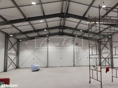 Hala Magazynowo-Handlowa 330 m² - Ursus