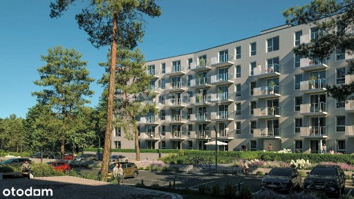 ul. Bieszczadzka, Wielki Kack, Gdynia, pomorskie