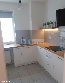 ul. Zielna, Psie Pole, Wrocław, dolnośląskie