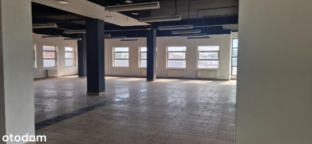 Pabianice, pabianicki, łódzkie