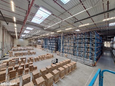 Nowoczesny magazyn wraz z pełną obsługą 3PL