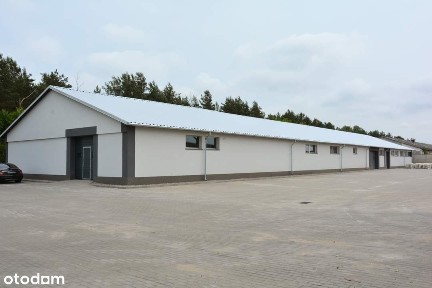 Strzebielino, Łęczyce, wejherowski, pomorskie