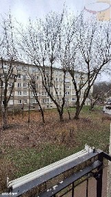 3 Pokoje, Centrum, ul. Kopernika