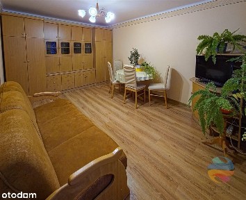 Mieszkanie na wynajem, Sosnowiec, 2 pokoje