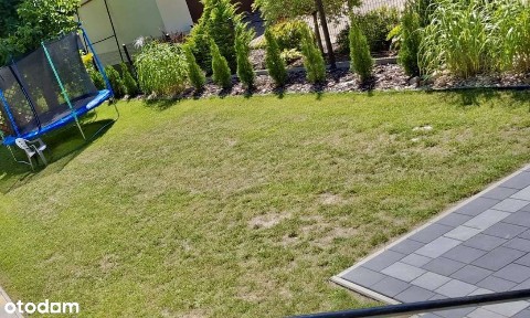 dom do wynajęcia w spokojnej okolicy