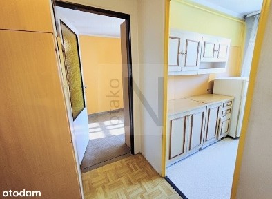 Wrzosowiak, Częstochowa, śląskie