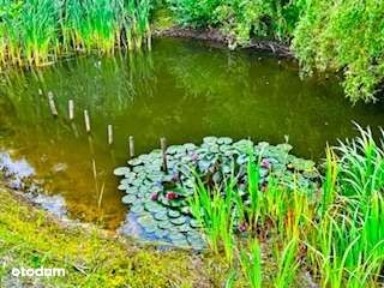 Nieduży dom do zamieszkania lub pod rekreacje