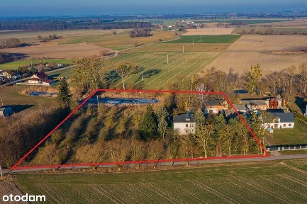 Brzeźno Stare, Wągrowiec, wągrowiecki, wielkopolskie