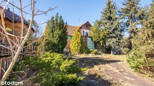 Dom z możliwościami - 16 pokoi w sercu Krynicy Morskiej