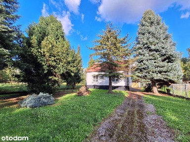 Brzesko, dom i 36 arów działek w centrum!