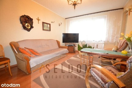 Trzy pokojowe mieszkanie na wynajem