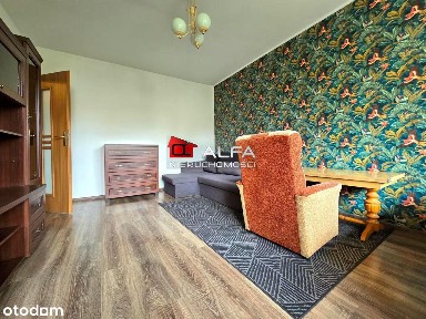 Do wynajęcia 2-pokojowe mieszkanie - Osiedle Młodych