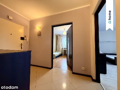 M2 wynajem 56m² - 300 metrów do Brdy, Centrum!