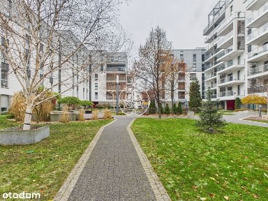 Przestań Scrollować To Mieszkanie, Którego Szukasz