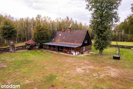 Siedlisko w m. Boruja Nowa