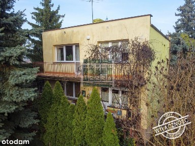 Zielony dom tonący w zieleni