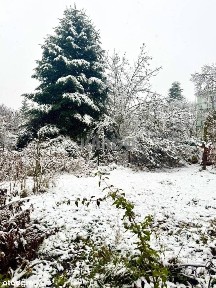 ok. Stadionu Olimp. Mickiewicza, p. Szczytnickiego
