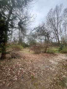 Wynajme piękny dom 350 m/2 7000 m/2 dzialka faktura