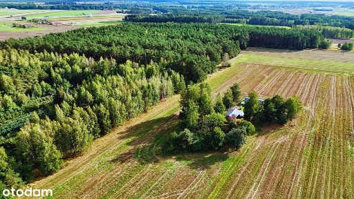 GOTOWY BIZNES TURYSTYCZNY- całoroczny domek w sąsiedztwie lasu