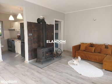 Parterowy domek, po remoncie, 2 pokoje