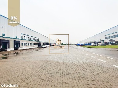 Pelcowizna, Praga-Północ, Warszawa, mazowieckie